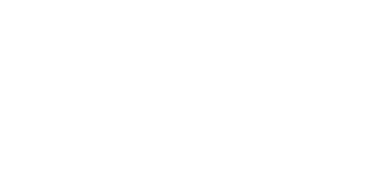 Verafrance AI